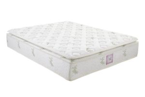 Signature Sleep Signature Pillow Top Mattress