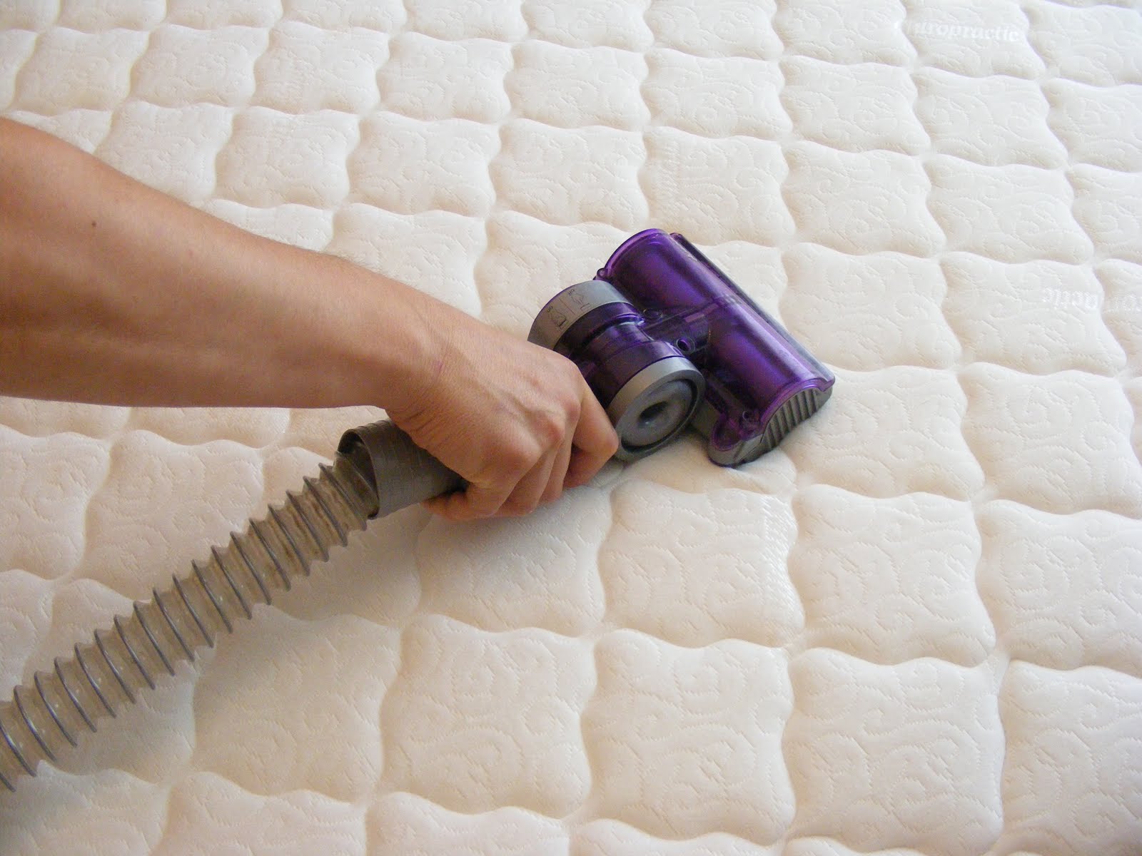 Use a Dry Vacuum