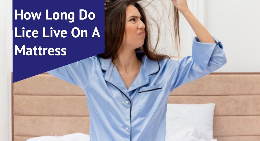 How Long Do Lice Live On A Mattress Voonky