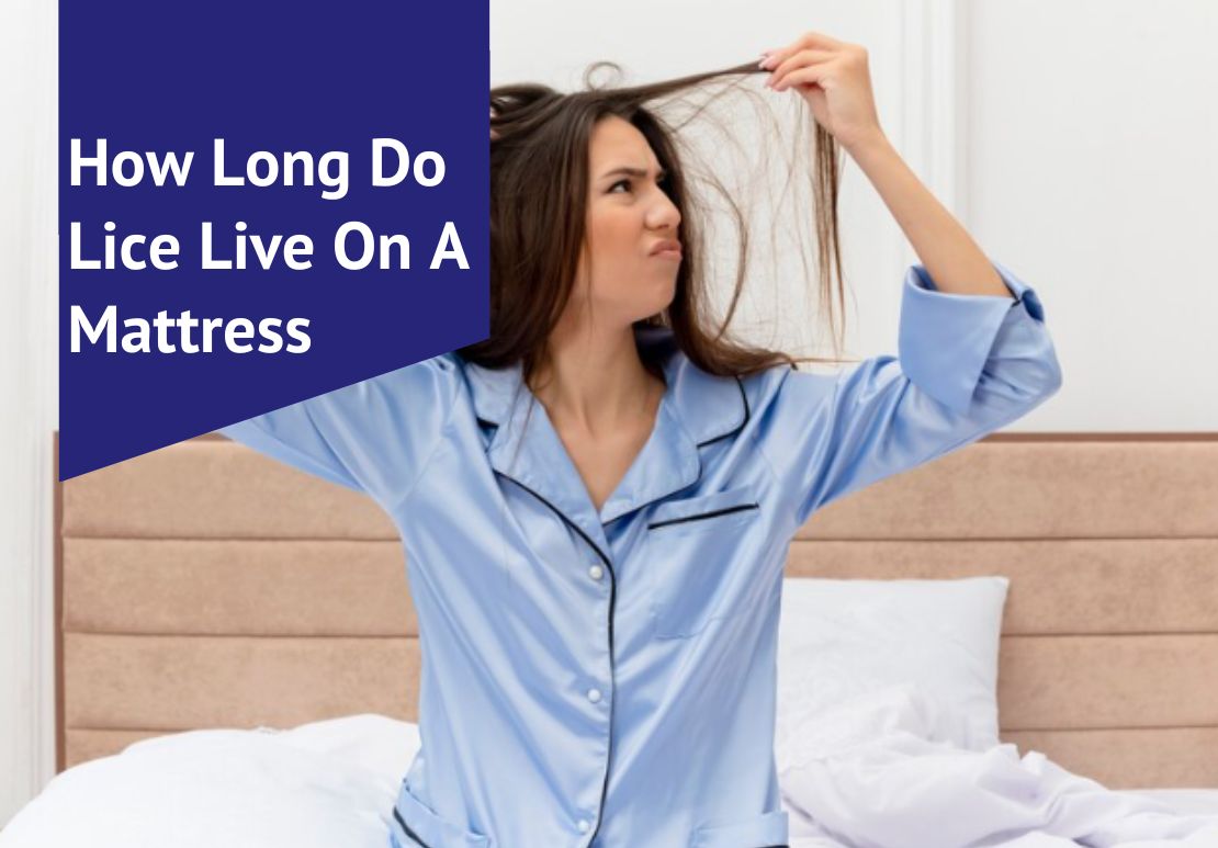 How Long Do Lice Live On A Mattress Voonky