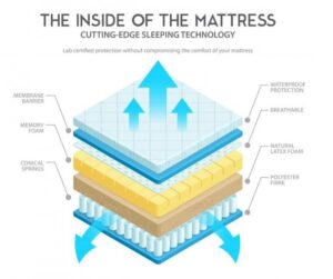 cell structure in mattress compression for How Long Does A Memory Foam Mattress Take To Expand