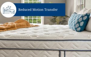 Reduced motion transfer bed