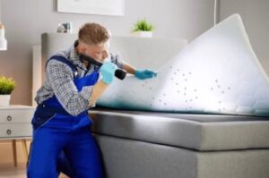 Pest infestations is sign of mold on mattress