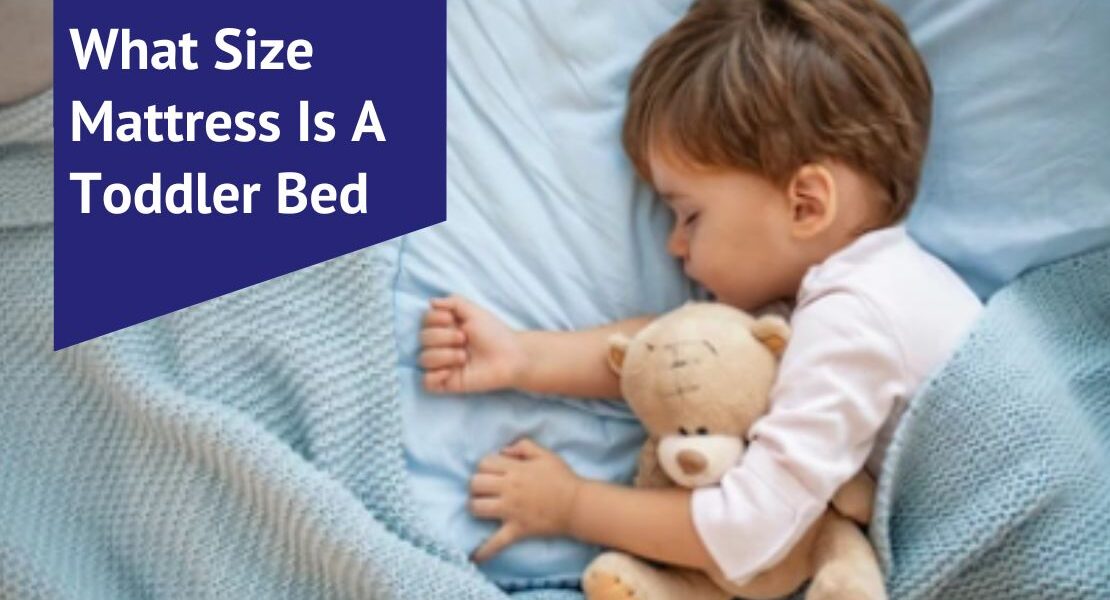 What Size Mattress Is A Toddler Bed Voonky