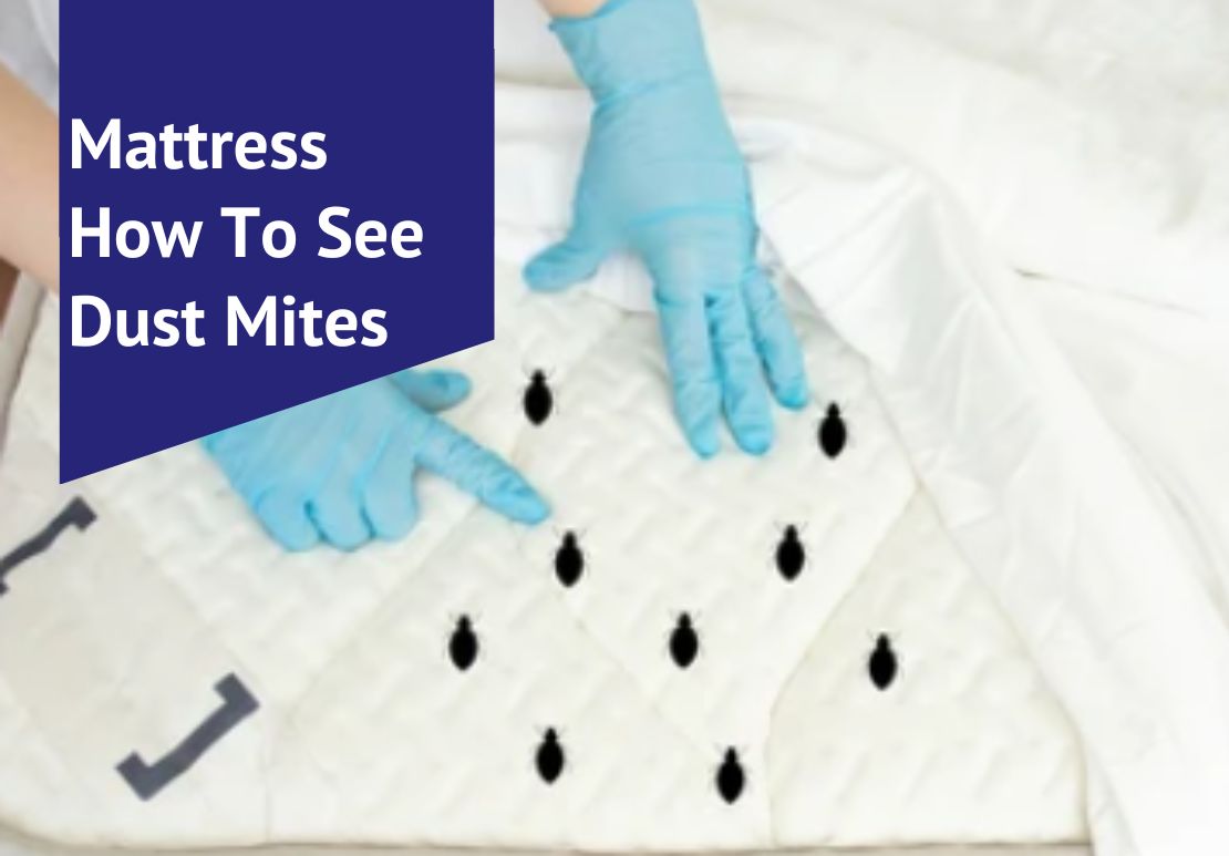 Mattress How To See Dust Mites