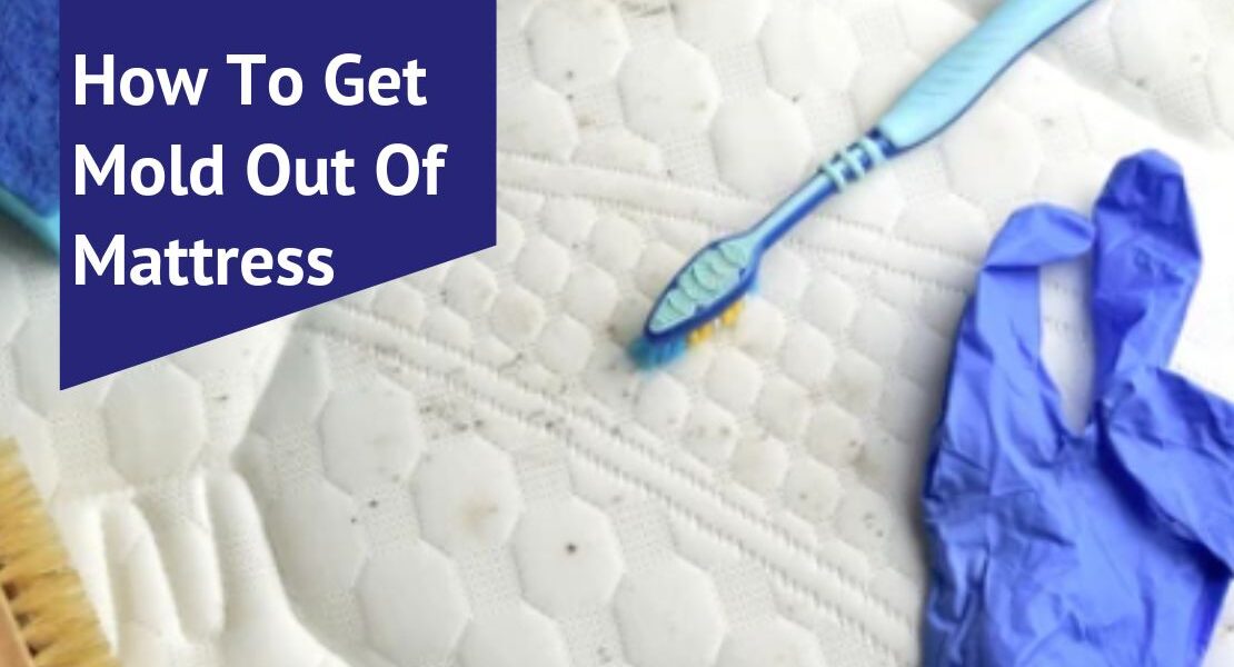 How To Get Mold Out Of Mattress Voonky